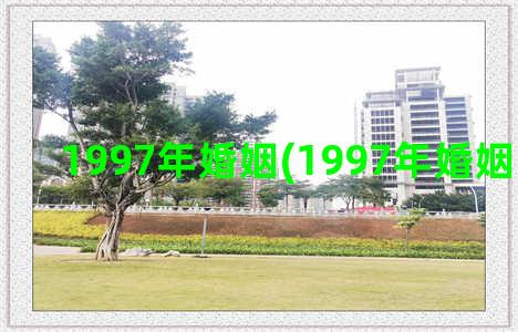 1997年婚姻(1997年婚姻最配属相)