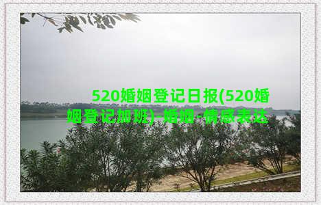 520婚姻登记日报(520婚姻登记加班)-婚姻-情感表达