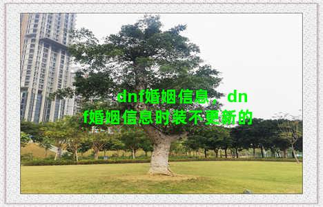 dnf婚姻信息，dnf婚姻信息时装不更新的