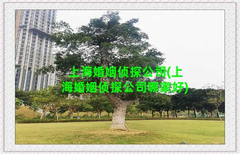 上海婚姻侦探公司(上海婚姻侦探公司哪家好)