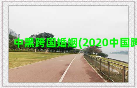 中黑跨国婚姻(2020中国跨国婚姻)