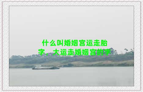 什么叫婚姻宫运走胎字，大运走婚姻宫的字