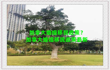 加拿大婚姻移民政策？加拿大婚姻移民政策最新