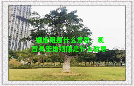 婚姻阻是什么意思，观音灵签婚姻阻是什么意思