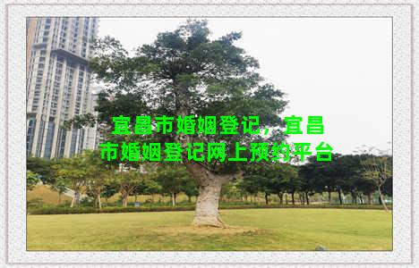 宜昌市婚姻登记，宜昌市婚姻登记网上预约平台