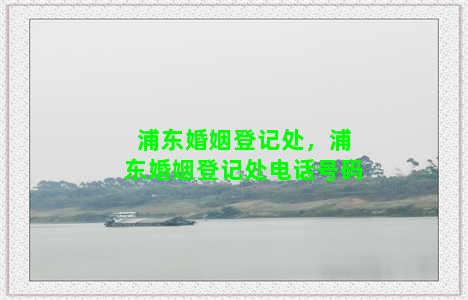 浦东婚姻登记处，浦东婚姻登记处电话号码