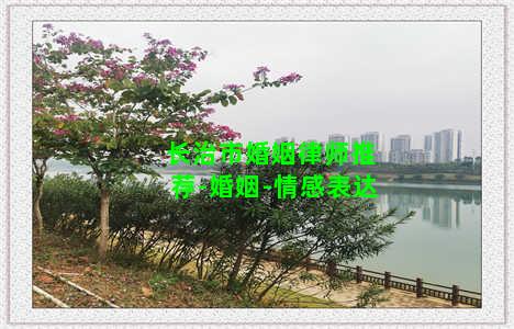 长治市婚姻律师推荐-婚姻-情感表达